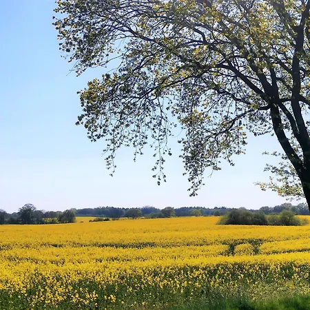 Haus Haeger Appartement Dahme (Schleswig-Holstein)